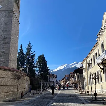 Apartment Wooden In Belvedere Bansko